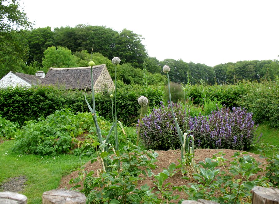 Farm Garden St Fagans photograph